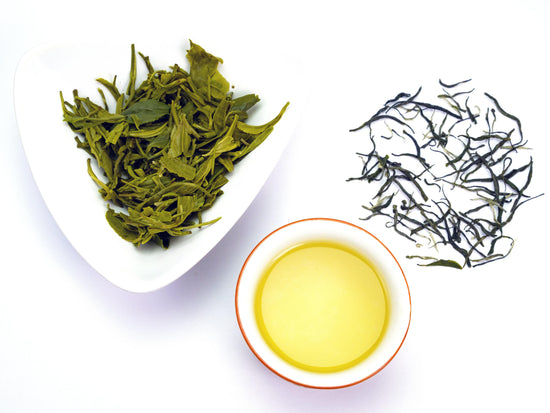 Xinyang Maojian fresh and dried tea leaves