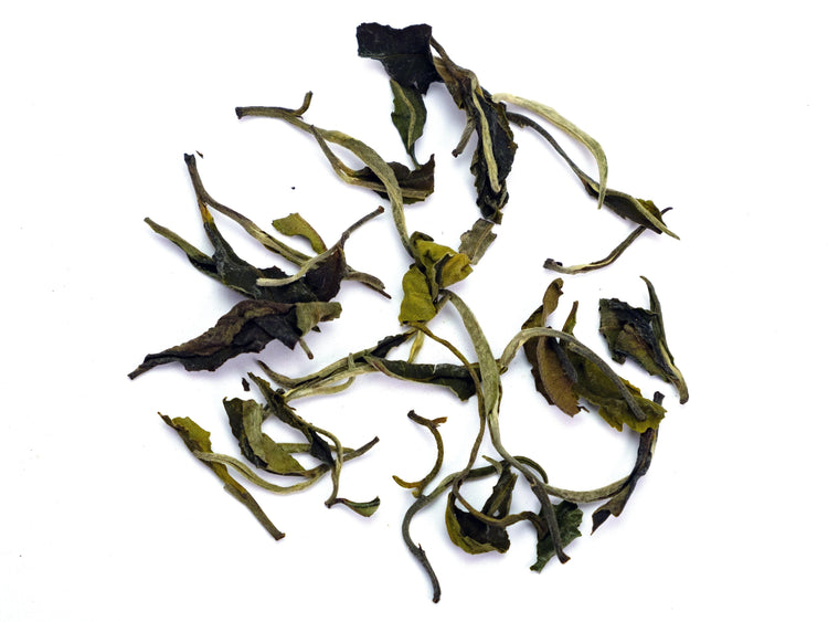 tea leaves with silver buds